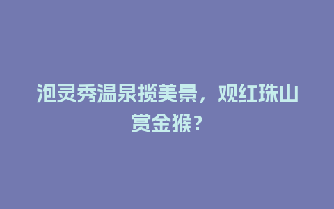 泡灵秀温泉揽美景，观红珠山赏金猴？