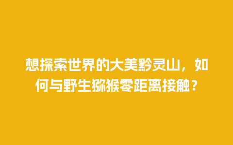 想探索世界的大美黔灵山，如何与野生猕猴零距离接触？