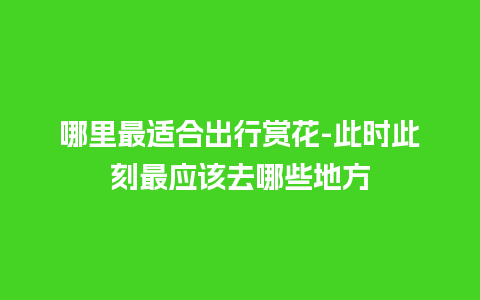 哪里最适合出行赏花-此时此刻最应该去哪些地方