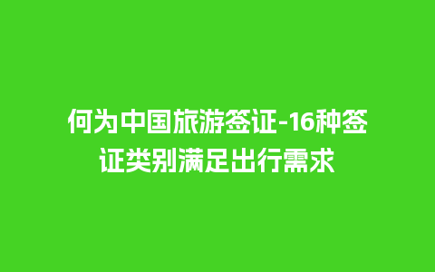 何为中国旅游签证-16种签证类别满足出行需求