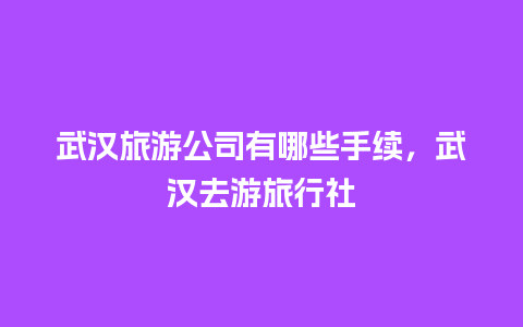 武汉旅游公司有哪些手续，武汉去游旅行社