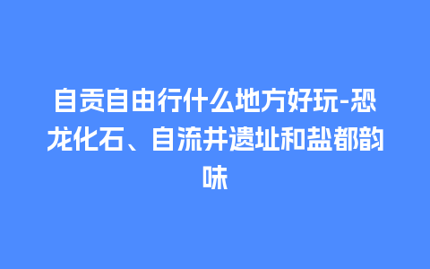 自贡自由行什么地方好玩-恐龙化石、自流井遗址和盐都韵味