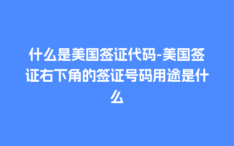 什么是美国签证代码-美国签证右下角的签证号码用途是什么