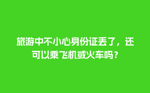 旅游中不小心身份证丢了，还可以乘飞机或火车吗？