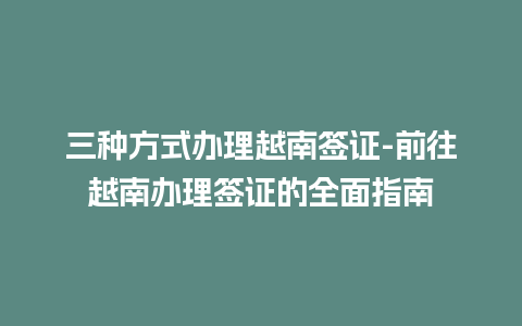 三种方式办理越南签证-前往越南办理签证的全面指南