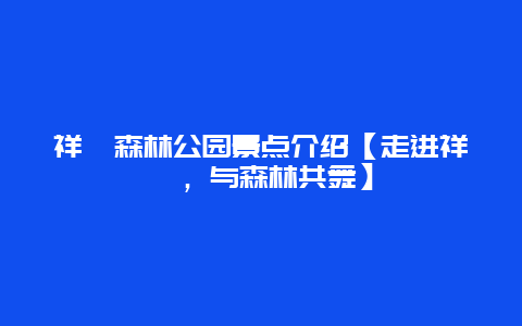 祥峪森林公园景点介绍【走进祥峪，与森林共舞】