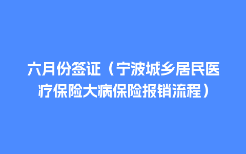 六月份签证（宁波城乡居民医疗保险大病保险报销流程）