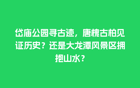 岱庙公园寻古迹，唐槐古柏见证历史？还是大龙潭风景区拥抱山水？