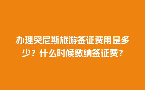 办理突尼斯旅游签证费用是多少？什么时候缴纳签证费？