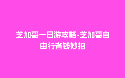 芝加哥一日游攻略-芝加哥自由行省钱妙招