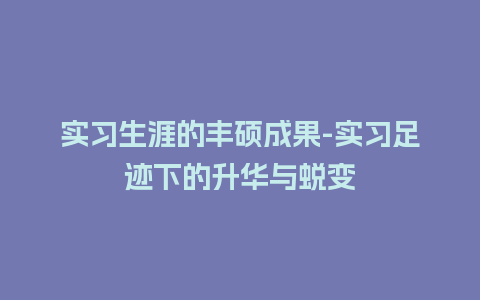 实习生涯的丰硕成果-实习足迹下的升华与蜕变