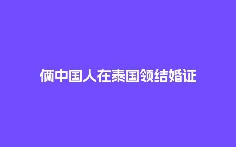 俩中国人在泰国领结婚证