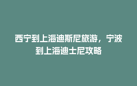 西宁到上海迪斯尼旅游，宁波到上海迪士尼攻略