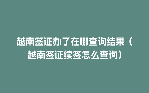 越南签证办了在哪查询结果（越南签证续签怎么查询）