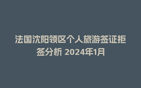 法国沈阳领区个人旅游签证拒签分析 2024年1月