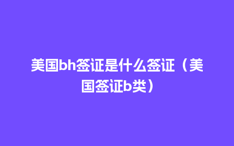 美国bh签证是什么签证（美国签证b类）