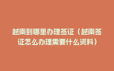 越南到哪里办理签证（越南签证怎么办理需要什么资料）