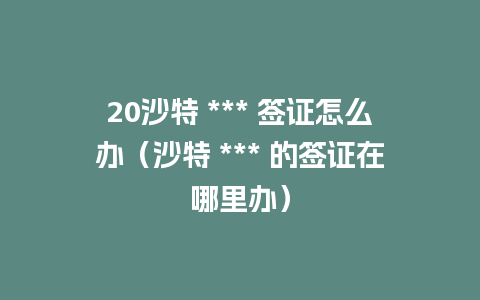 20沙特 *** 签证怎么办（沙特 *** 的签证在哪里办）