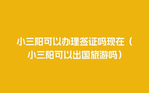 小三阳可以办理签证吗现在（小三阳可以出国旅游吗）