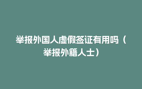 举报外国人虚假签证有用吗（举报外籍人士）