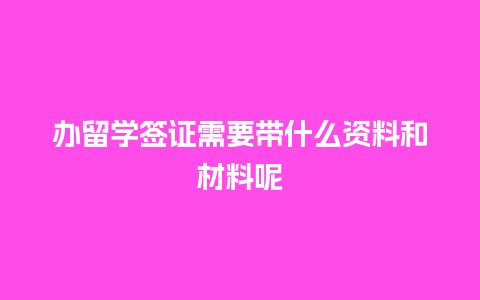 办留学签证需要带什么资料和材料呢