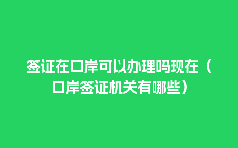 签证在口岸可以办理吗现在（口岸签证机关有哪些）