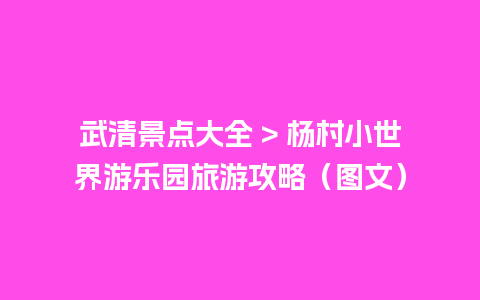 武清景点大全 > 杨村小世界游乐园旅游攻略（图文）