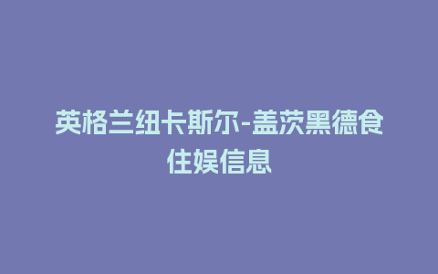 英格兰纽卡斯尔-盖茨黑德食住娱信息