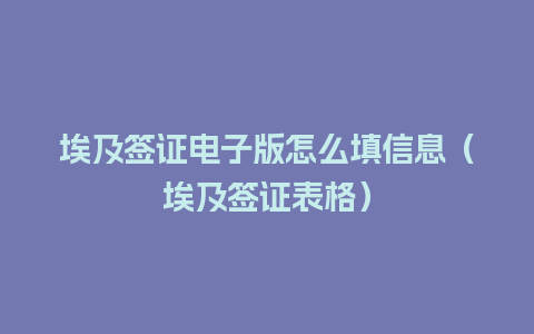 埃及签证电子版怎么填信息（埃及签证表格）