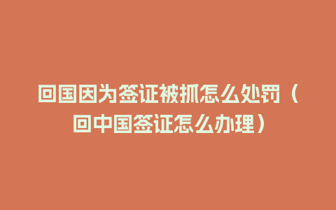 回国因为签证被抓怎么处罚（回中国签证怎么办理）