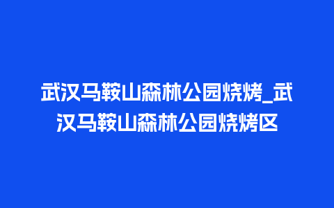 武汉马鞍山森林公园烧烤_武汉马鞍山森林公园烧烤区