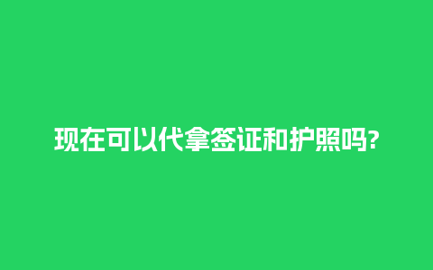 现在可以代拿签证和护照吗?