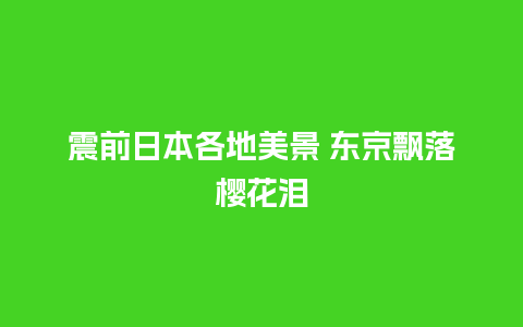 震前日本各地美景 东京飘落樱花泪