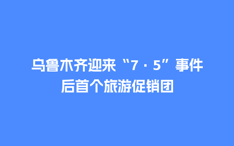 乌鲁木齐迎来“7·5”事件后首个旅游促销团