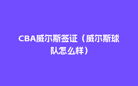 CBA威尔斯签证（威尔斯球队怎么样）