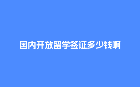 国内开放留学签证多少钱啊