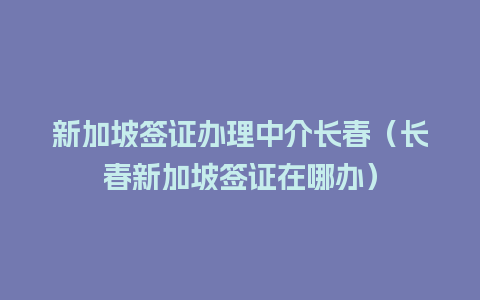 新加坡签证办理中介长春（长春新加坡签证在哪办）