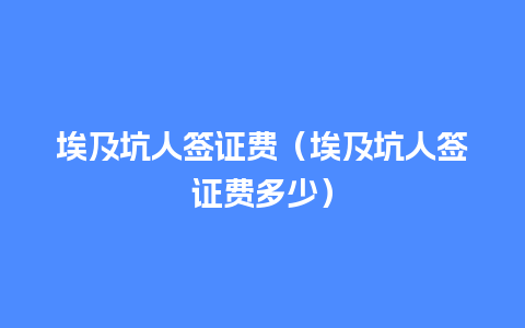 埃及坑人签证费（埃及坑人签证费多少）