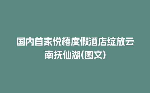 国内首家悦椿度假酒店绽放云南抚仙湖(图文)