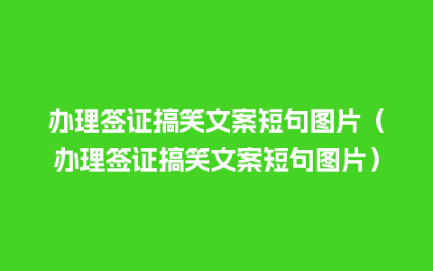 办理签证搞笑文案短句图片（办理签证搞笑文案短句图片）