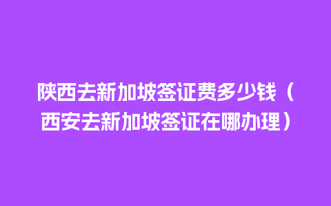 陕西去新加坡签证费多少钱（西安去新加坡签证在哪办理）