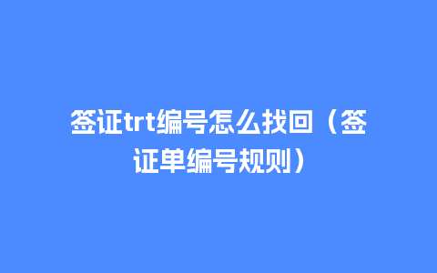 签证trt编号怎么找回（签证单编号规则）