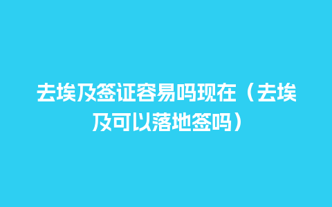 去埃及签证容易吗现在（去埃及可以落地签吗）