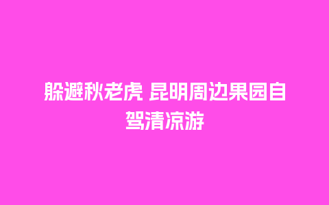 躲避秋老虎 昆明周边果园自驾清凉游