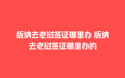 版纳去老挝签证哪里办 版纳去老挝签证哪里办的