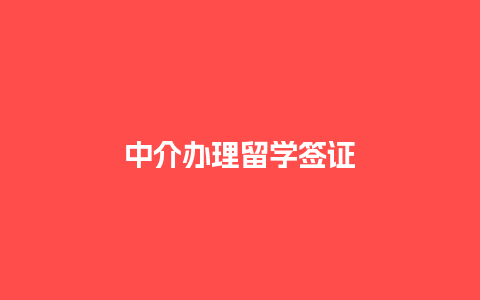 中介办理留学签证