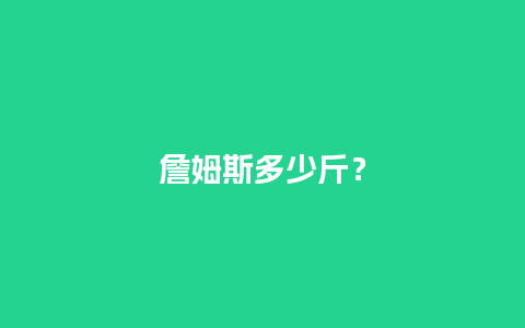 詹姆斯多少斤？