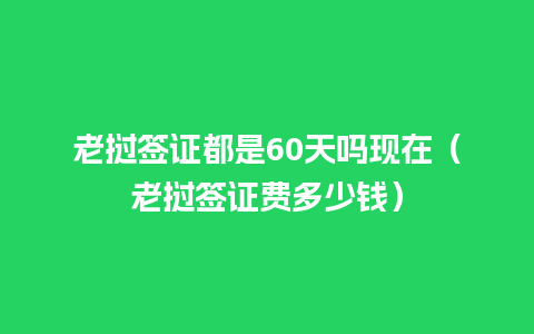 老挝签证都是60天吗现在（老挝签证费多少钱）