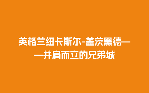 英格兰纽卡斯尔-盖茨黑德——并肩而立的兄弟城