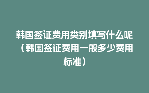 韩国签证费用类别填写什么呢（韩国签证费用一般多少费用标准）